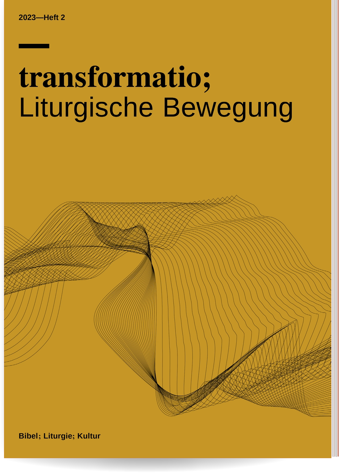 Studio SUED Editorial Transformatio; 17